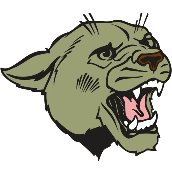 AR COUGAR 40 RC Thumbnail