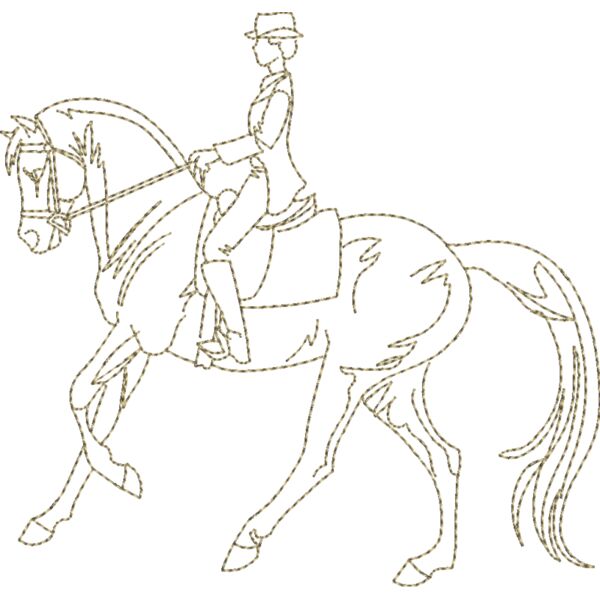 WS613 48 Thumbnail