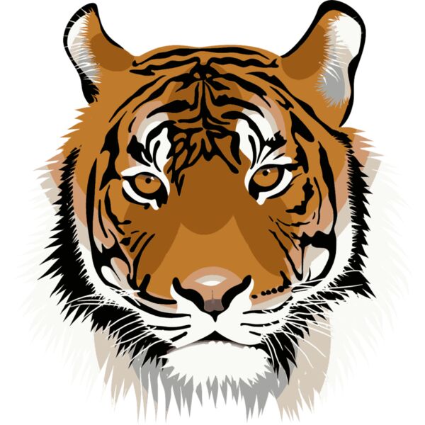 Tiger Color Thumbnail