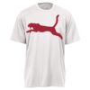 Youth DRI-POWER® SPORT T-Shirt Thumbnail