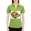 Ladies' Recycled Polyester Performance Piqué Polo Thumbnail